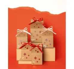 Adventskalenderzahlen