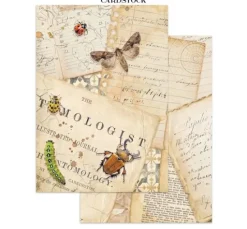A5 Junk Journal Focus Points "All Around"