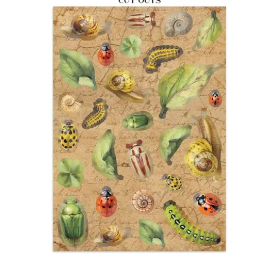 A5 Junk Journal Focus Points "All Around"