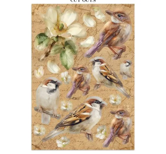 A5 Junk Journal Focus Points "All Around"