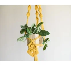 Anchor Crafty