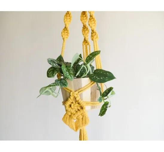 Anchor Crafty