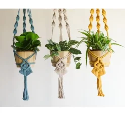 Anchor Crafty