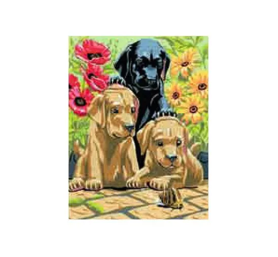 Art Adventure Mega-Set
