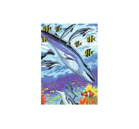 Art Adventure Mega-Set