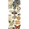 Art Stickers "Cabinet of Curiosities"