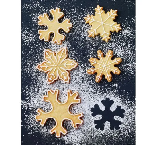 Ausstechform "Schneestern"