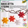 Bascetta-Stern Set "Transparent"
