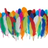 Bastelfedern "Bunt"