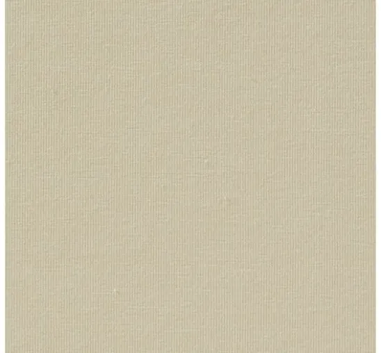 Baumwoll Single-Jersey "Uni"