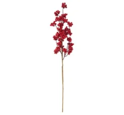 Beeren Zweig