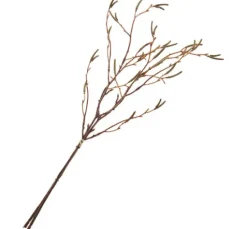 Birkenzweig-Bund