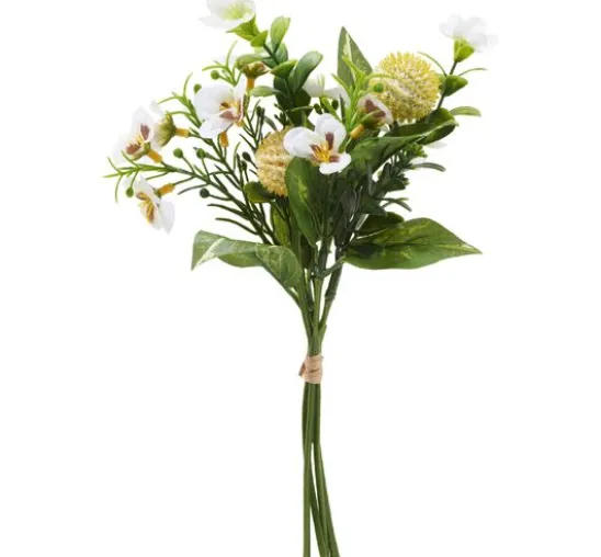 Blumenbund "Viola"
