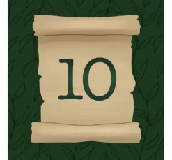 Buch Adventskalender 