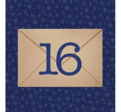 Buch Adventskalender 