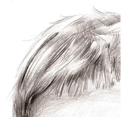 Buch 