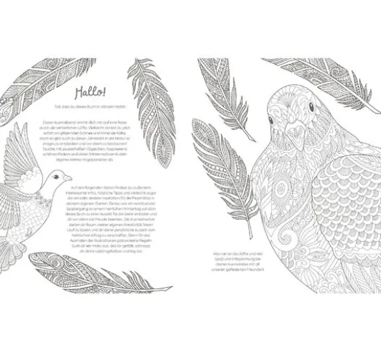 Buch "Winterliche Vogelwelt"