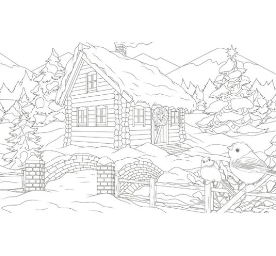 Buch "Winterliche Vogelwelt"