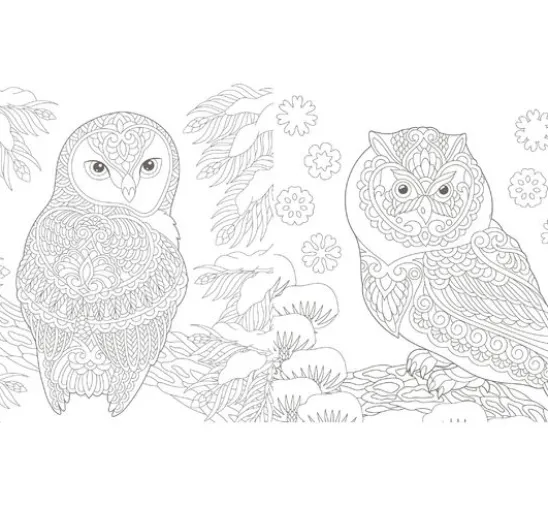 Buch "Winterliche Vogelwelt"