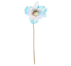 Christrose, irisierend
