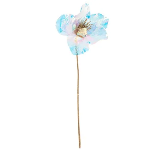 Christrose, irisierend
