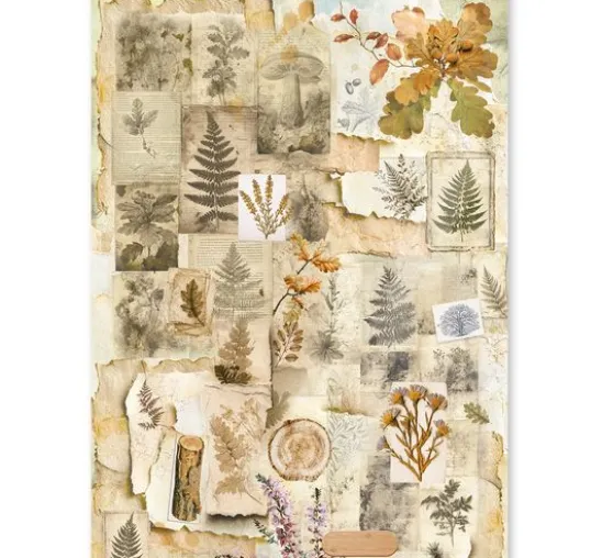 Ciao Bella Motiv-Strohseiden Sortiment "The Nature Journal", 8er-Set