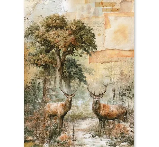 Ciao Bella Motiv-Strohseiden Sortiment "The Nature Journal", 8er-Set