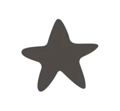 Colop Cleany Stamp Handwaschstempel