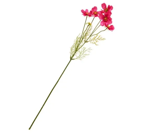 Cosmea Zweig mit 5 Blüten