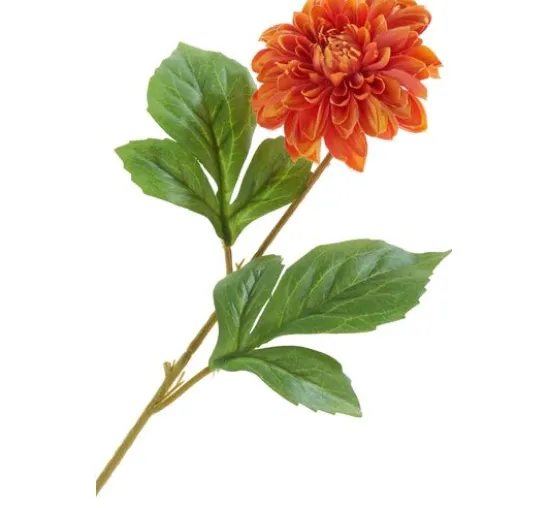 Dahlie "George Spray"