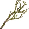 Deko-Ast