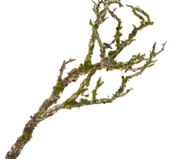 Deko-Ast