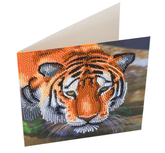 Diamond Painting "Crystal Art Card"