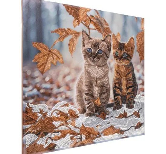 Diamond Painting "Crystal Art Kit", 30 x 30 cm