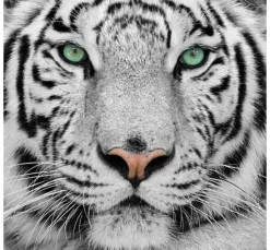 Diamond Painting