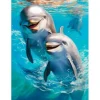 Diamond Painting Set, 30 x 40 cm