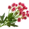 Distel Zweig