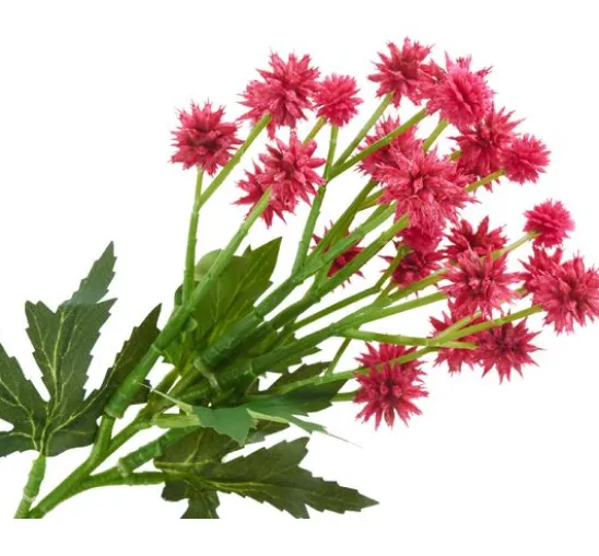Distel Zweig