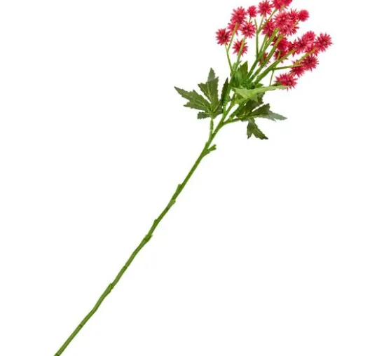 Distel Zweig