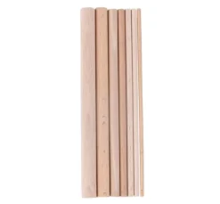 Dot Painting Holzsticks