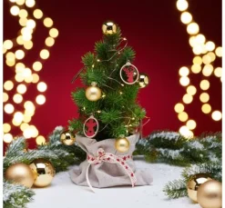 Edeltannenbaum