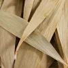 Eukalyptus Blätter, 100 g