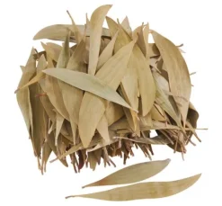 Eukalyptus Blätter, 100 g
