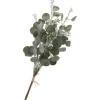 Eukalyptus Bund "Ella"