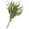 Eukalyptus-Bund mit Blüten