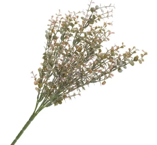 Eukalyptus-Busch