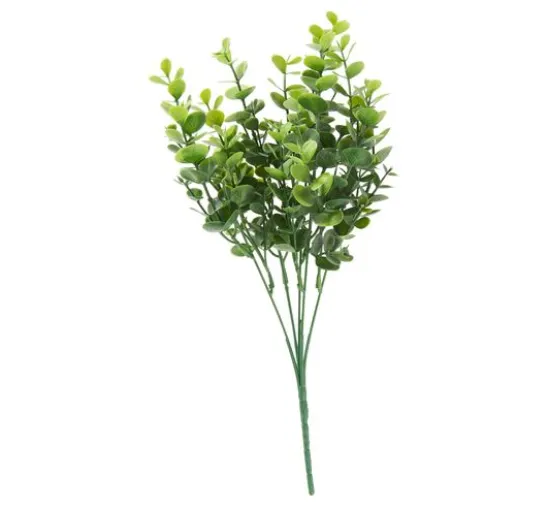 Eukalyptus Pick "Mia"