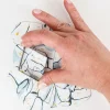 FIMO soft Set