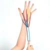 Finger Twist, Regenbogen