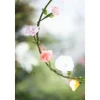 Floristenband, 25 mm
